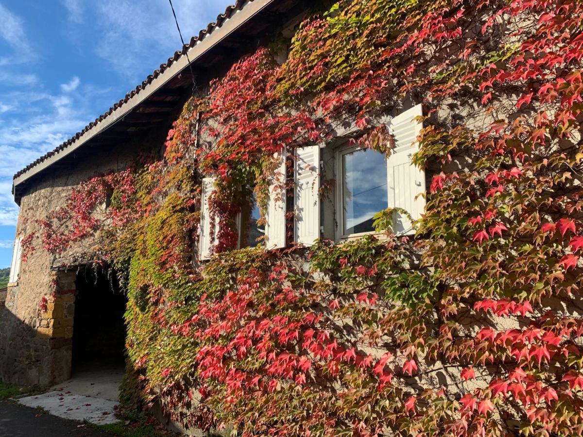 Le Gite De Buffetieres Saint-Romain-de-Popey Экстерьер фото
